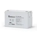 Renogy Deep Cycle AGM Battery 12 Volt 100Ah, 3% Self-Discharge Rate, 1100A Max Discharge Current, Safe Charge Most Home Appliances for RV, Camping, Cabin, Marine and Off-Grid System, Maintenance-Free