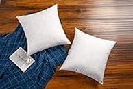 JA COMFORTS 26×26 Decorative Down Feather Throw Pillow Inserts(Set of 2)-5% Down Filling, Filling Weight 52 OZ, Cotton Cover, Square, Machine Wash, White