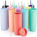 STRATA CUPS Multicolor Skinny Tumblers with Lids and Straws (12 pack) - 16oz Double Wall Acrylic Tumbler, Tall Matte Skinny Tumblers, Bulk with Free Straw Cleaner, Reusable Cups