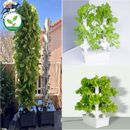 Vertical Hydroponics Growing System Garden Smart Herb Garden Plant Kit with Tank
