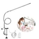 Brokimis Desk Light with Clamp, USB LED 8W Clip Nail Desk Lamp Eye Care Flexible GooseNeck 360° Clamp Light for Manicure Reading Eyebrow Office Tattoo