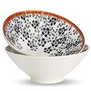 Ceramic Ramen Bowl Set of 2, 887ml, Large Japanese Noodle Soup Bowls, Japanese Serving Bowls for Ramen, Udon, Soba, Pho, Asian Soup Noodle,Pasta, Salad