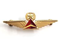 Delta Airlines Capitán Piloto Alas Estrella Corona Rojo Dorado Tono Metal Pin Insignia
