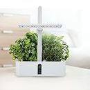 Smart Garden Hydroponics Growing System Indoor Garden Kit Desktop Grow Lights for Indoor Plants for Home Kitchen, Indoor Planting