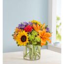 1-800-Flowers Everyday Gift Delivery Floral Embrace For Sympathy Small