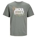 JACK&JONES Jungen JCOMAP Logo Tee SS Crew Neck JNR T-Shirt, Agave Green, 164 cm