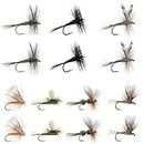 RoxStar Fly Shop Dry Fly Hatch Pack! | 14 Premium Dry Flies for Trout + 1 Year Membership to Trout Unlimited & RoxStar Club | Proven Fly Fishing Flies for Trout! | Tied in House - Never Outsourced