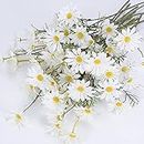 OUKEYI 12 Bundles Artificial Flowers White Artificial Daisy Flowers UV Resistant Outdoor Fake Wildflowers with Stems Faux Greenery Shrubs Plants Arrangements for Wedding Decoration Home Decoration