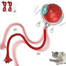 IOKHEIRA Giocattoli Interattivi per Gatti da Interno Giocattoli Elettrici per Gatti con Corda Lunga Rotazione Automatica
