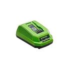 Greenworks Tools Chargeur de batterie G40UC (Li-Ion 40 V 2,2A 60 min temps de charge avec batterie 2Ah adapté à tous les appareils et batteries de la série 40 V Greenworks Tools)