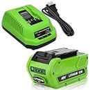 40 Volt 6.0Ah Lithium ion 29462 29472 Replacemet Battery and 29482 Charger Compatible with Greenworks 40V Battery 29462 29472 G-MAX Power Tools 29252 20202 22262 25312 25322 20642 22272 27062