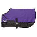 Tough 1 600D Waterproof Poly Adjustable Foal Blanket, Purple, Medium