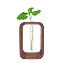 Desktop Plant Propagation Station - Glass Flower Vase Air Planter Terrarium with Wooden Stand - Hydroponics Planter Gift for Home Office Garden Decoration