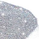 500g Glitter Paint Additive Silver Holographic Glitter Paint Additive Silver Holographic Metallic Glitter Powder Mix with Acrylic Paint for Interior Exterior Wall Ceiling Wood