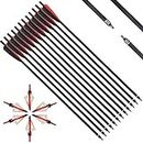 IRQ 20 Inch Carbon Crossbow Arrows Crossbow Bolts for Outdoor Hunting Practice with 4inch Vanes and 6 Blades Archery Broadheads 100 Grain for Hunting Practice Targeting (Red and White)