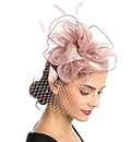 Fascinators Hat Flower Mesh Ribbons Feathers on a Headband and Clip Tea Party Headwear for Women（A2-Floral Mesh Pink）