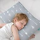 Biloban Toddler Pillow for Sleeping, Small Kid Pillow 14" x 19" for Daycare, Travel, Toddler Pillow for Boys and Girls, Grey Arrow