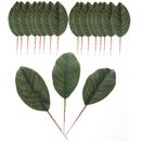  30 pz foglie di magnolia artificiale decorazione gambo composizione floreale falso