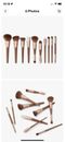 Sonia Kashuk Explore Collection Complete 10 Brush Set Brown & Rose Gold Handles
