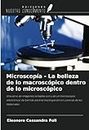 Microscopía - La belleza de lo macroscópico dentro de lo microscópico: Una serie de imágenes tomadas con y de un microscopio electrónico de barrido para la investigación en ciencias de los materiales