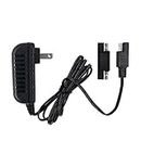 6V Replacement Charger Fit for Disney Quad Pacific Cycle Marvel The Avenger Good Dinosaur Princess Fairies Minnie Mouse Frozen CAR McQueen ATV 6V Battery Ride ON Walmart Target Toy R US