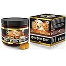 GastroBalance Advanced Probiotics for Dogs – 60 natural soft chews for pet daily digestive support (Bacon flavour)
