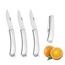 Fruit Knife, 4 Pack Small Kitchen Knife Sets, Sharp and Durable Folding Pocket Knife Vegetable Knife Set Paring Knife Small, Stainless Steel Fruit Knives Small for Most Vegetables, Fruits and Meat