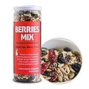 Omay Foods Berries Mix, 180g Jar | Healthy Snacks I Trail Mix | Blueberry, Red Cranberry, Black Currant, Roasted Seeds and Berries Mix I Seeds Berries Mix I Berry Mix | Roasted Snack | Guilt-free Snack I Snack for Weight Loss I Diet Snack I Office-time Snack