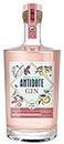Antidote Gin rose Méditerranéen - Qualité Premium - Produit en France à partir de raisins français - 17 plantes aromatiques, 5 distillations - 40% (1 x 0,70 L)