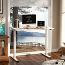 FLEXISPOT 40",48",55" Home Office Height Adjustable Standing Desk Computer Desk