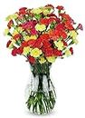 BENCHMARK BOUQUETS - 20 Stem Bright Mini Carnations (Glass Vase Included), Next-Day Delivery, Gift Fresh Flowers for Birthday, Anniversary, Get Well, Sympathy, Graduation, Congratulations, Thank You
