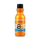 Style Aromatherapy Professional Moroccan Argan Shampoo 400 ml | Sulphate Free | Paraben free | For Dry, Dull & All Hair types