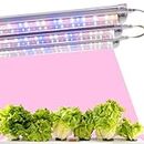 Lano AgriTech All-Round LED Plant Grow Light for Indoor Plants, Porta Sun 36-Watt Full Spectrum Light w/UV LED Bulb (2)