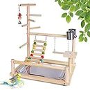 Holzsammlung Bird Playground, Wooden Parrot Stand Bird Play Stand, Parrot Perch Stand with Ladder, Bird Play Gym Toy Cage Accessories for Small Middle Parakeets Cockatiels Finches Budgie Lovebirds