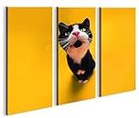 islandburner Felix The Cat 3p Quadri Moderni - Pronti da Appendere - Fotografia Formato XXL - Stampa su Tela - Quadro x poltrone Salotto Cucina Bagno mobili Ufficio casa