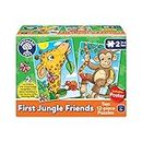 First Jungle Friends (ENG)
