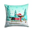 Caroline 's Treasures VHA3030PW1414 Merry Christmas Dachshund Patio-Furniture-Pillows, Multicolor