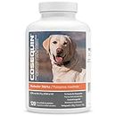 Nutramax Cosequin MSM und HA Kautabletten, Nahrungsergänzungsmittel für Gelenke mit maximaler Stärke,mit Glucosamin und Chondroitin für Hunde Aller Größen 120 Kautabletten
