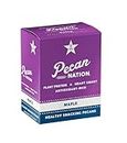 Pecan Nation Maple Flavored Roasted Pecan Pieces 1 oz., Healthy Nut Power Snack for Adults and Kids, 8 Count (2 Pack)