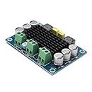 DHRUVPRO XH-M542 Mono 100W Digital Power Amplifier Board Digital Audio Amplifiers