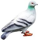 Resin Dove Animal Sculpture Outdoor Patio Yard Decorations, Pigeon Garden Statue Lawn Ornaments(A) (A)