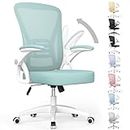 naspaluro Ergonomic Office Chair, Mid Back Desk Chair with Adjustable Height, Swivel Chair with Flip-Up Arms and Lumbar Support, Breathable Mesh Computer Chair for Home/Study/Working, Green