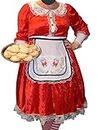 N /D Santa Claus Costume Womens Santa Suit Christmas Fancy Dress Classic Mrs. Claus Costume Outfit Red (Red White, Large)