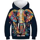 HEYLInUP Patterned Elephant Unisex Teen Boys Girls 3D Printed Hoodies Kids Sportswear Grassland Animals Funny Pullover Athletic Casual Long Sleeve with Pockets for 6-15 Years 11-13Y