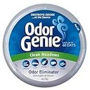 DampRid Odor Genie Clean Medows,226 g