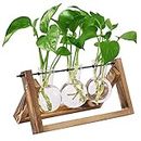 HASTHIP® 3Pcs Hydroponics Glass Planter with Wooden Stand for Desktop Table Decor Home Office, Plant Terrarium, Air Planter Bulb Glass Vase for Propagating Money Plant, Flower and More