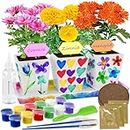 Paint & Plant Gardening Flower Stoneware Kit - Kids Arts & Crafts Birthday Gift, Project Science Gifts for Boys & Girls Ages 4-8 - STEM Activity for Age 4, 5, 6, 7, 8, 9, 10,11 & 12 Year Old Girl