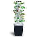 JPWDDWYT Hydroponics Growing System Vertical Garden Planter Indoor Smart Garden Kit with Pump and Movable Water Tank Vegetable Plant Gift for Gardening Lover (30-Plant)