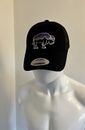 Patagonia Fitz Roy Bison Embroidered Trucker Cap Adults Adjustable