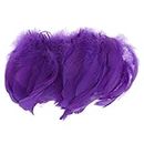 MYADDICTION 200Pcs Feathers for DIY Craft Wedding Home Party Decorations Purple Clothing Shoes & Accessories | Wholesale Large & Small Lots | Other Wholesale Lots